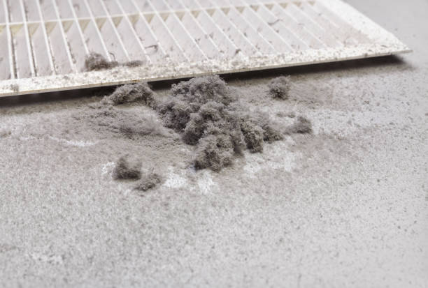Best Air Duct Cleaning Near Me  in Morton, TX